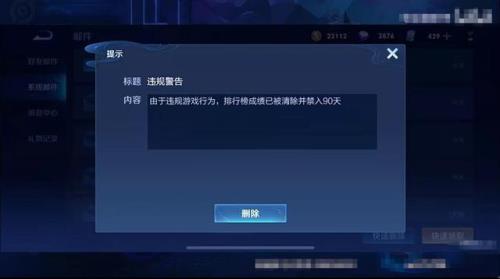 王者荣耀禁赛是什么意思