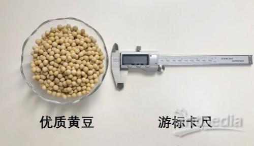 1公分厚还是8mm厚