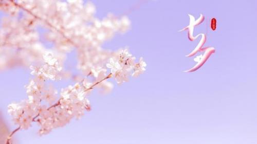 七夕女主角是谁
