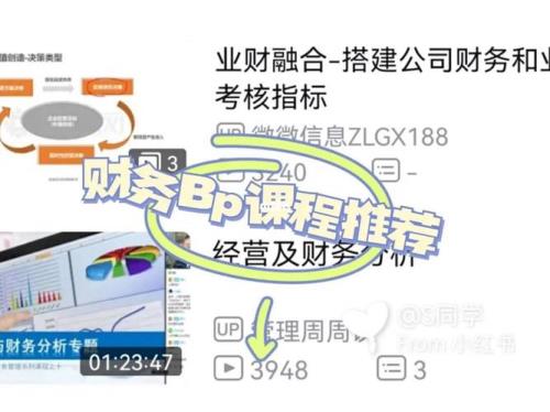bp中财务数据怎么做