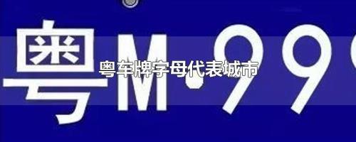 不限车牌的城市有哪些