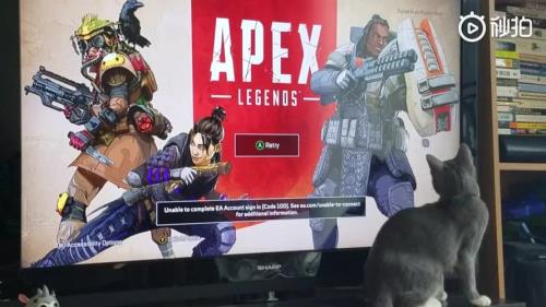 apex服务器修复了吗