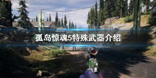 孤岛惊魂5怎么解锁第三个武器槽