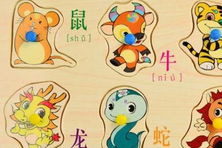 回来是什么生肖