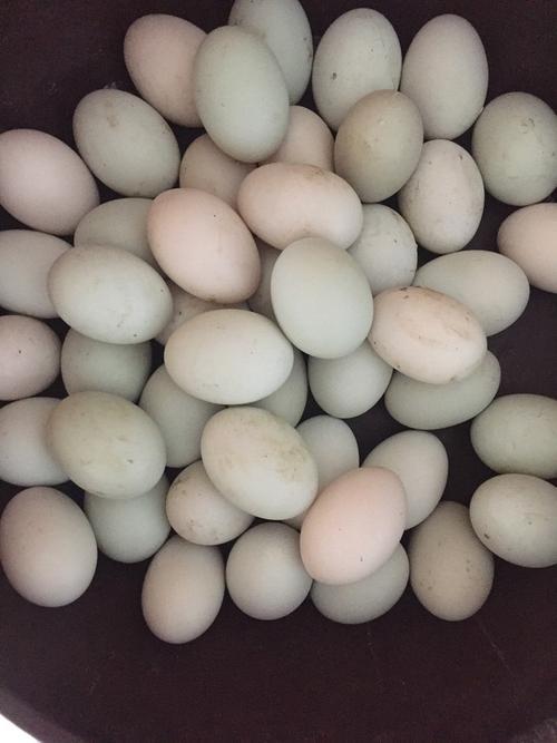 50个鸭蛋有多少斤