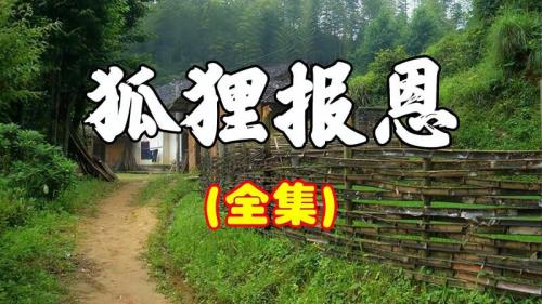 狐狸报恩故事完整版
