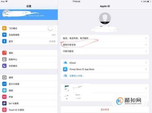 ipad登录不了id