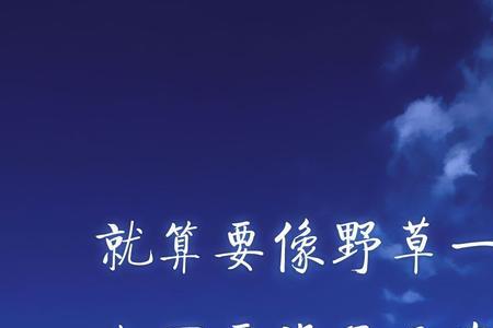 奋斗励志网名