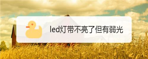 卧室灯珠没坏灯带不亮