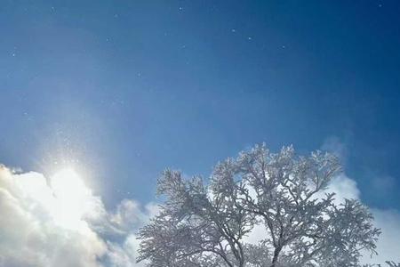 江浙下雪了吗
