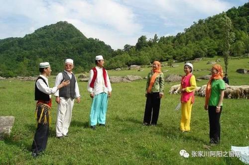撒拉族能不能变汉族