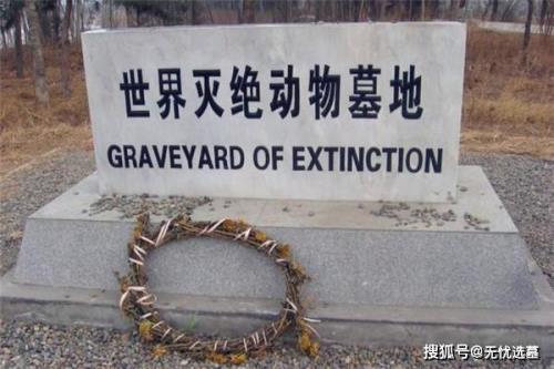 世界灭绝动物名单