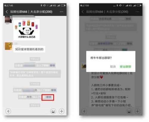 拉人进群，能得什么好处
