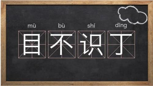 目不识人的意思