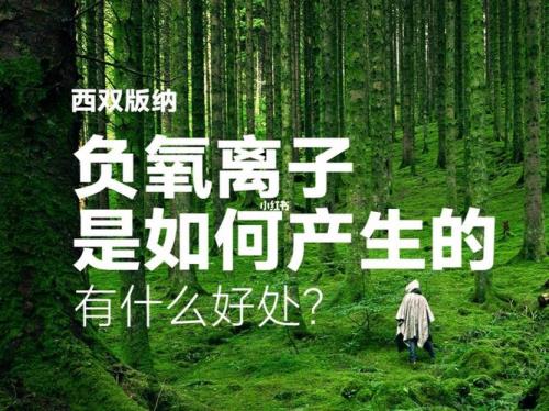 高氧离子的意思