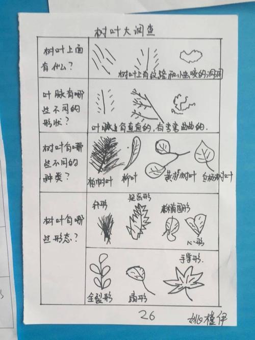 什么的树叶填空叠字