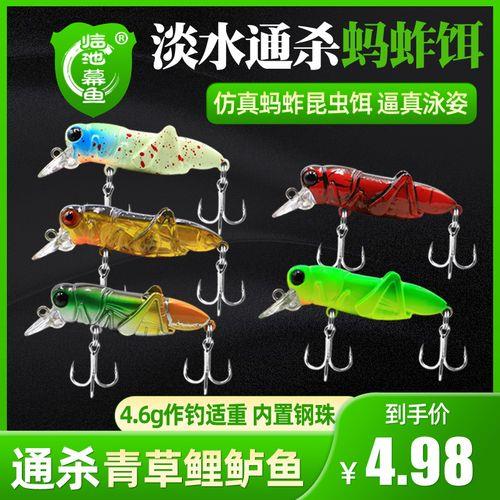 蝗虫钓鲤鱼效果怎么样