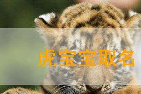庄姓女孩起名