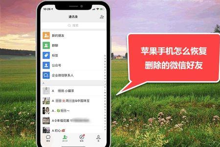 苹果手机7打不开微信怎么回事