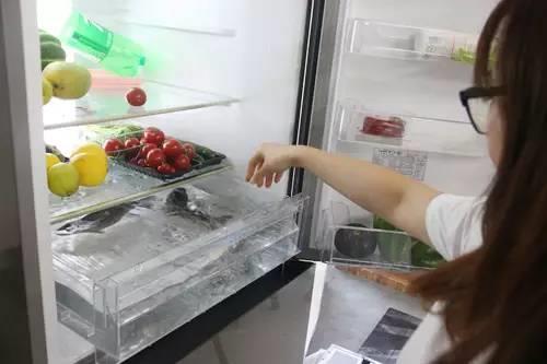 把鱼放进冰箱保鲜会冻死吗