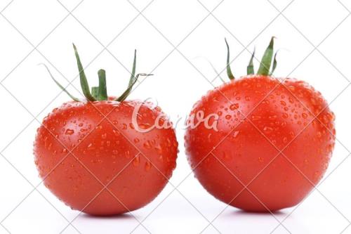 3个字圆形蔬菜