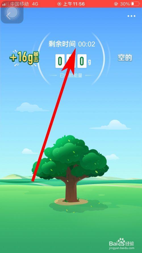 蚂蚁能量3g代表什么