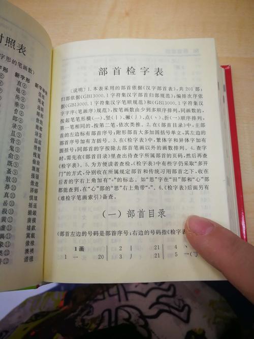 查字典那字音节是什么