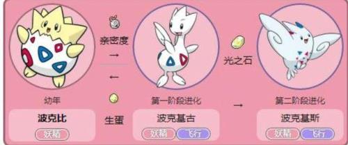 怎样才能让波克比进化