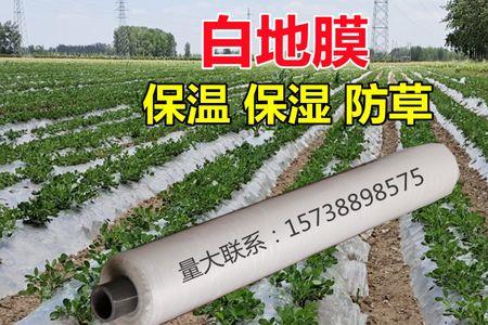 pe培育学科是什么意思