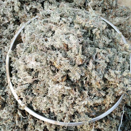 白蒿每亩产量