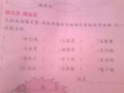 丽字组词有哪些词语