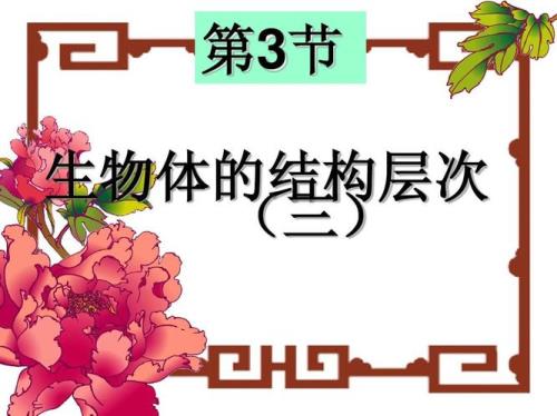 结构层次序数是什么意思