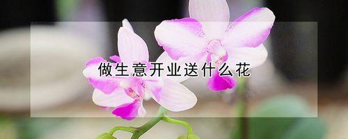 什么花什么门前面填数字