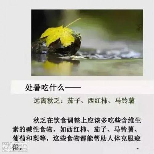 处暑不下雨又怎么回事