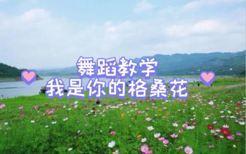 舞蹈我是你的格桑花原唱
