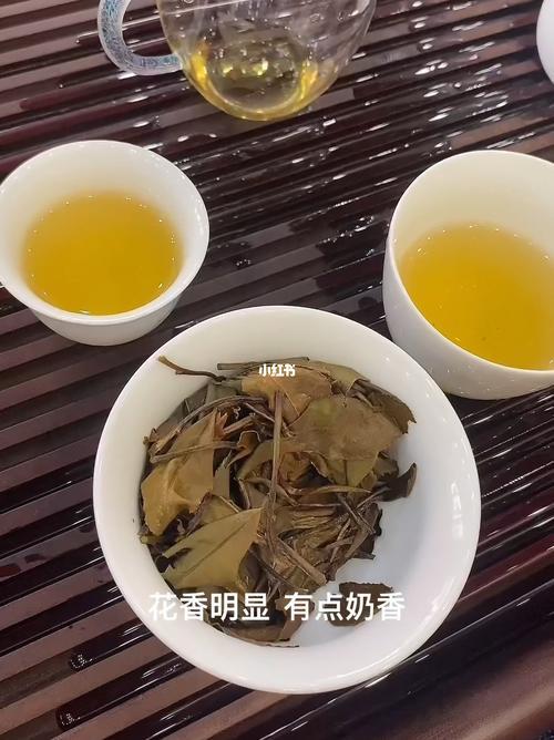 叶芽泉是大牌吗