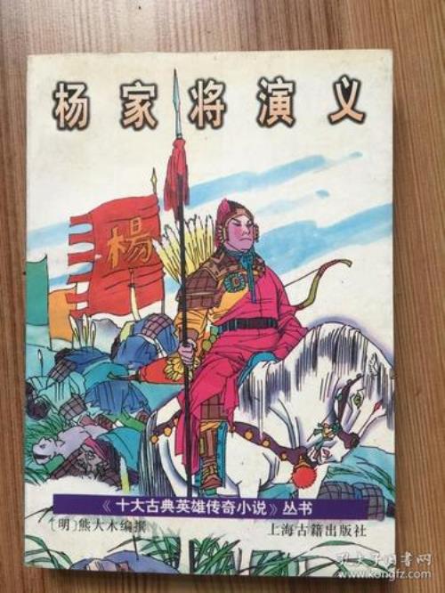 穿越到成杨家将的小说