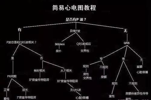 八分钟一格电正常吗