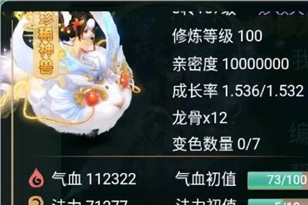 大话西游龙兔怎么加点