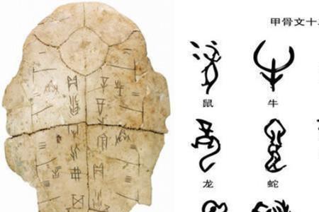 ci的所有汉字
