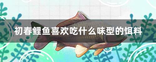 鲤鱼吃不完怎么保存