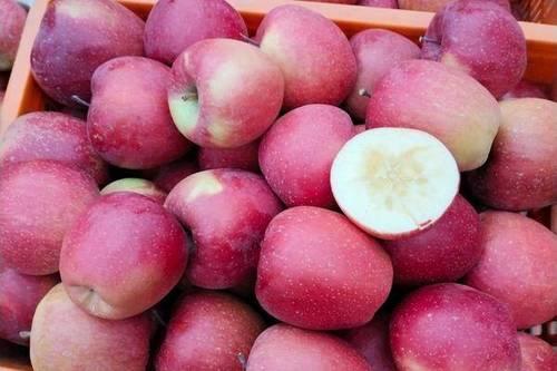 冰糖心苹果什么时候买最好