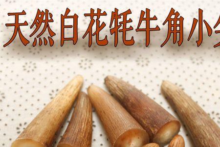 牛角尖尖是什么意思