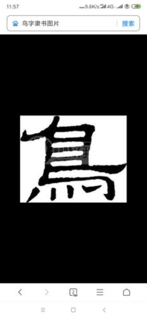 鸟字旁的笔顺