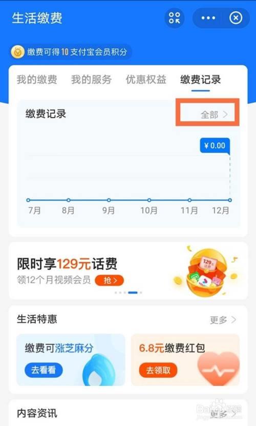 支付宝怎么查询电费每天明细