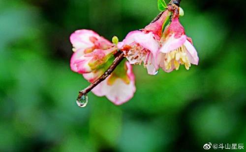 沥沥春雨的寓意