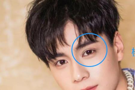男人公认最好的眼型