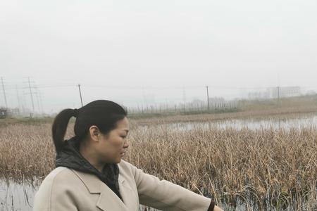 姜郢的由来
