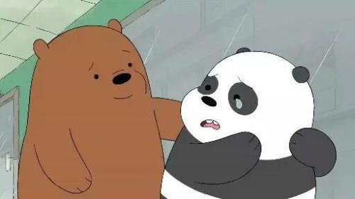 这三只熊是什么动画片