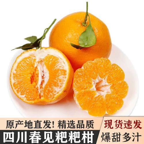 耙耙柑60mm是大果吗